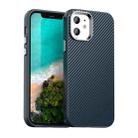 For iPhone 12 Carbon Fiber Series IMD Phone Case(Blue) - 1