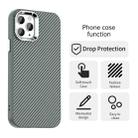 For iPhone 11 Pro Max Carbon Fiber Series IMD Phone Case(Grey) - 2
