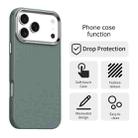 For iPhone 17 Pro Carbon Fiber Series IMD Phone Case(Grey) - 2
