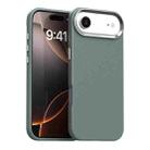 For iPhone 17 Air Carbon Fiber Series IMD Phone Case(Grey) - 1