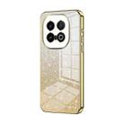 For vivo iQOO 13 Gradient Glitter Powder Electroplated Phone Case(Gold) - 1