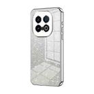 For vivo iQOO 13 Gradient Glitter Powder Electroplated Phone Case(Silver) - 1