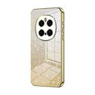 For Honor Magic7 Pro Gradient Glitter Powder Electroplated Phone Case(Gold) - 1