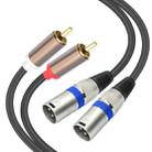 2 RCA Male to 2 XLR 3pin Male Audio Cable, Length:3m(Black Silver) - 2