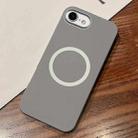For iPhone 7 / 8 / SE 2020 2022 Leather Texture Design MagSafe Full Coverage Phone Case(Grey) - 1