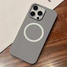 For iPhone 12 Pro Max Leather Texture Design MagSafe Full Coverage Phone Case(Grey) - 1