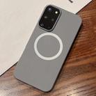 For Samsung Galaxy S20+ Leather Texture Design MagSafe Full Coverage Phone Case(Grey) - 1