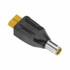 XT-017 XT60 Female to 7.9x0.9 Male Interchange Adapter - 2