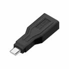 XT-28 XT60 Male to Type-C Interchange Adapter - 1