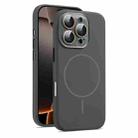 For iPhone 16 Pro Max AG Fine Hole Liquid Silicone MagSafe Magnetic Phone Case(Charcoal Grey) - 1