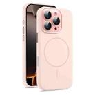 For iPhone 16 Pro AG Fine Hole Liquid Silicone MagSafe Magnetic Phone Case(Pink) - 1