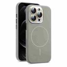 For iPhone 12 Pro Max AG Fine Hole Liquid Silicone MagSafe Magnetic Phone Case(Titanium Gray) - 1