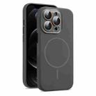 For iPhone 12 Pro Max AG Fine Hole Liquid Silicone MagSafe Magnetic Phone Case(Charcoal Grey) - 1