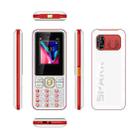 D63 Elder Keypad Phone, 1.77 inch, 3600mAh, SOS, FM, Dual SIM, GSM, Plug:EU Plug(Red) - 2