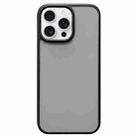 For iPhone 16 Pro Camera Control Button Frosted Phone Case(Transparent Black) - 1