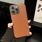 For iPhone 16 Pro Litchi Texture TPU Black Lens Frame Phone Case(Brown) - 2