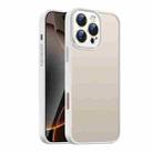 For iPhone 16 Pro Max Nano Semi-transparent Frosted Skin Feel Phone Case(Antique White) - 1