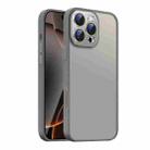 For iPhone 16 Pro Max Nano Semi-transparent Frosted Skin Feel Phone Case(Titanium Gray) - 1