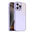 For iPhone 16 Pro Max Nano Semi-transparent Frosted Skin Feel Phone Case(Lilac Purple) - 1