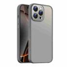 For iPhone 16 Pro Nano Semi-transparent Frosted Skin Feel Phone Case(Titanium Gray) - 1