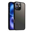 For iPhone 16 Plus Nano Semi-transparent Frosted Skin Feel Phone Case(Black) - 1