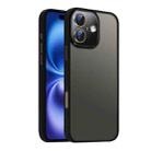 For iPhone 16 Nano Semi-transparent Frosted Skin Feel Phone Case(Black) - 1