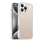 For iPhone 15 Pro Max Nano Semi-transparent Frosted Skin Feel Phone Case(Antique White) - 1