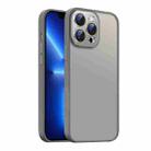 For iPhone 13 Pro Max Nano Semi-transparent Frosted Skin Feel Phone Case(Titanium Gray) - 1