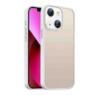 For iPhone 13 Nano Semi-transparent Frosted Skin Feel Phone Case(Antique White) - 1