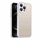 For iPhone 12 Pro Nano Semi-transparent Frosted Skin Feel Phone Case(Antique White) - 1