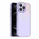 For iPhone 12 Pro Max Nano Semi-transparent Frosted Skin Feel Phone Case(Lilac Purple) - 1