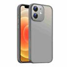 For iPhone 12  Nano Semi-transparent Frosted Skin Feel Phone Case(Titanium Gray) - 1