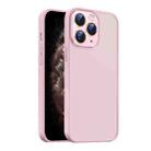 For iPhone 11 Pro Max Nano Semi-transparent Frosted Skin Feel Phone Case(Light Pink) - 1