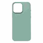 For iPhone 15 Pro Max Liquid Silicone Phone MagSafe Case(Light Green) - 2