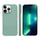 For iPhone 13 Pro Max Liquid Silicone Phone MagSafe Case(Light Green) - 1