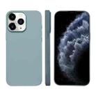 For iPhone 11 Pro Max Liquid Silicone Phone MagSafe Case(Sierra Blue) - 1