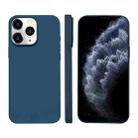 For iPhone 11 Pro Liquid Silicone Phone MagSafe Case(Royal Blue) - 1