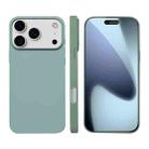 For iPhone 17 Pro Liquid Silicone Phone MagSafe Case(Light Green) - 1