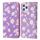 For iPhone 12 Pro Max Glittering Daisy Magnetic Horizontal Flip Leather Case with Holder & Card Slots & Photo Frame(Purple) - 1