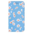 For iPhone 12 Pro Max Glittering Daisy Magnetic Horizontal Flip Leather Case with Holder & Card Slots & Photo Frame(Blue) - 1