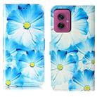 For Motorola Moto G55 Colored Drawing Marble Pattern Leather Phone Case(Blue Flower) - 1