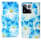 For Xiaomi 15 Pro Colored Drawing Marble Pattern Leather Phone Case(Blue Flower) - 1