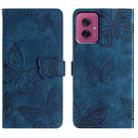 For Motorola Moto G55 Skin-feel Embossed Butterfly Leather Phone Case(Blue) - 1