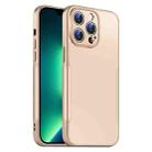 For iPhone 13 Pro Max Blade Slim AG Matte Shockproof Phone Case(Desert Gold) - 1