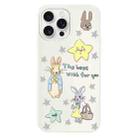 For iPhone 16 Pro Max Skin Feeling Jelly TPU Hybrid PC Phone Case(Star Rabbit Beige) - 1