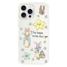 For iPhone 15 Pro Max Skin Feeling Jelly TPU Hybrid PC Phone Case(Star Rabbit Beige) - 1