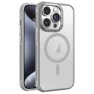 For iPhone 15 Pro Hardware Side Cooling Skin Feel Frosted Metal Lens Frame MagSafe Phone Case(Grey) - 1