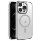 For iPhone 12 Pro Hardware Side Cooling Skin Feel Frosted Metal Lens Frame MagSafe Phone Case(Grey) - 1