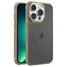 For iPhone 13 Pro Max Hardware Side Cooling Skin Feel Frosted Metal Lens Frame Phone Case(Gold) - 1