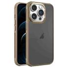 For iPhone 12 Pro Max Hardware Side Cooling Skin Feel Frosted Metal Lens Frame Phone Case(Gold) - 1